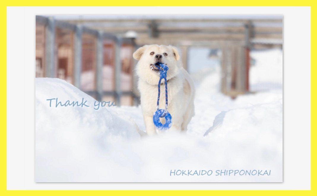 クラファン限定ポストカード