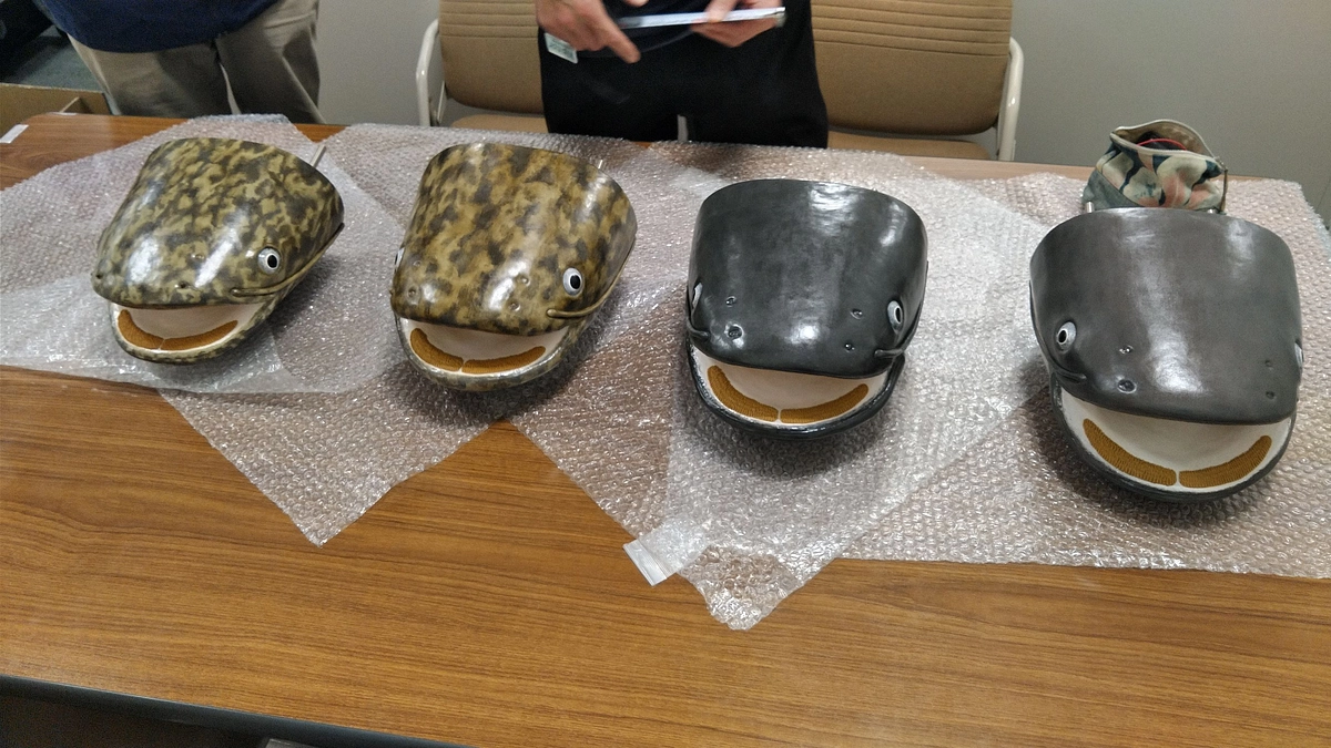 【お詫び】水族展示室完全復活の遅延について