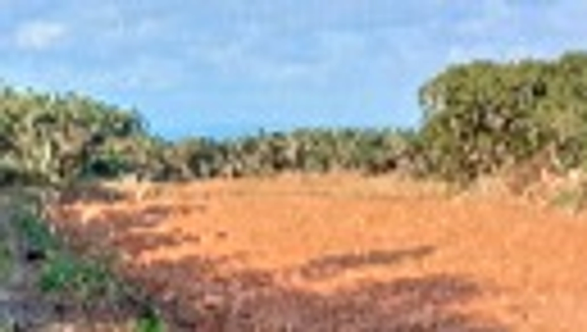 はじまりました！