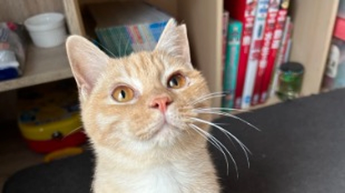 令和6年度収支報告