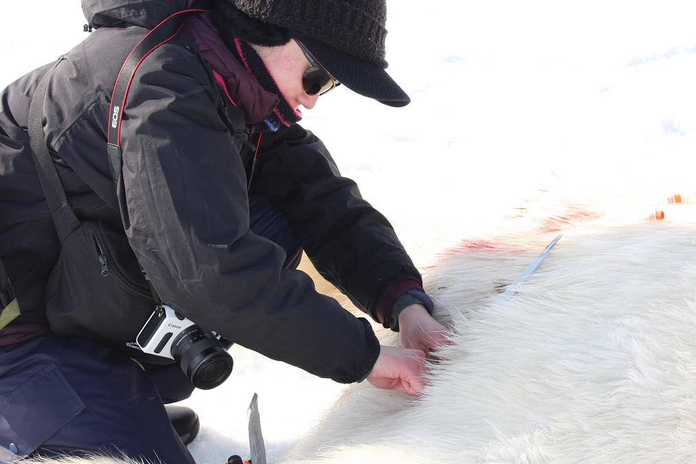 目標額の50％に到達しました