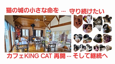 産まれて来た小さな命を守り続けていく為にカフェの再開へご協力を… のトップ画像