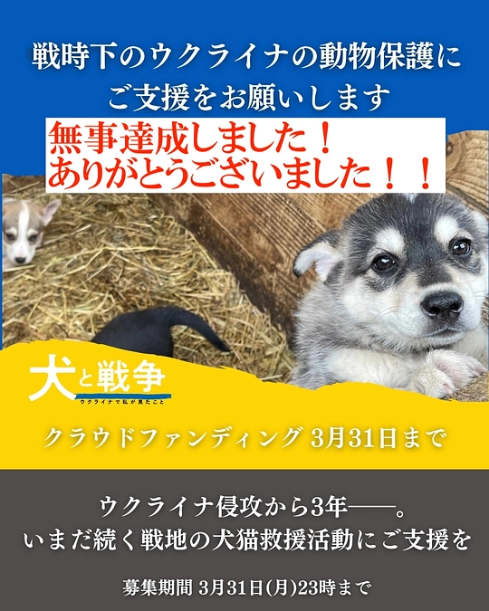 ウクライナの動物たちへのご支援、目標達成致しました!！