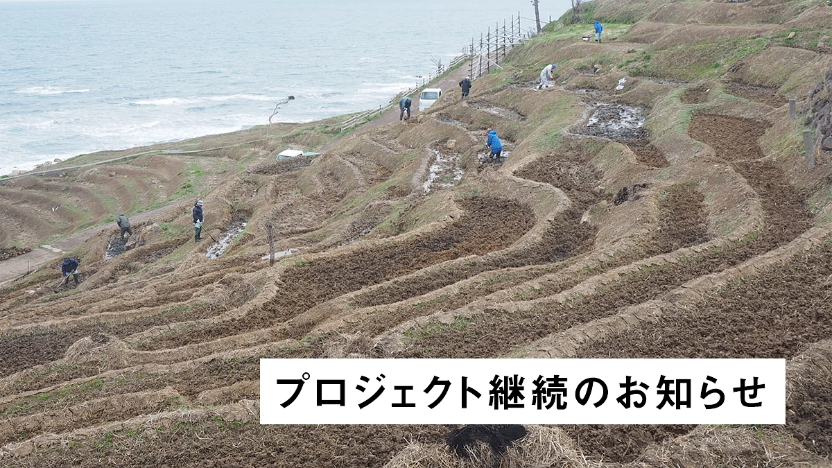 プロジェクト継続のお知らせ