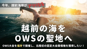 福井県越前町をオープンウォータースイミング(OWS)の聖地にしたい のトップ画像