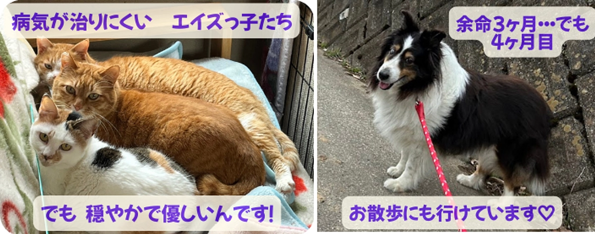 ※第一目標達成！有難うございました！