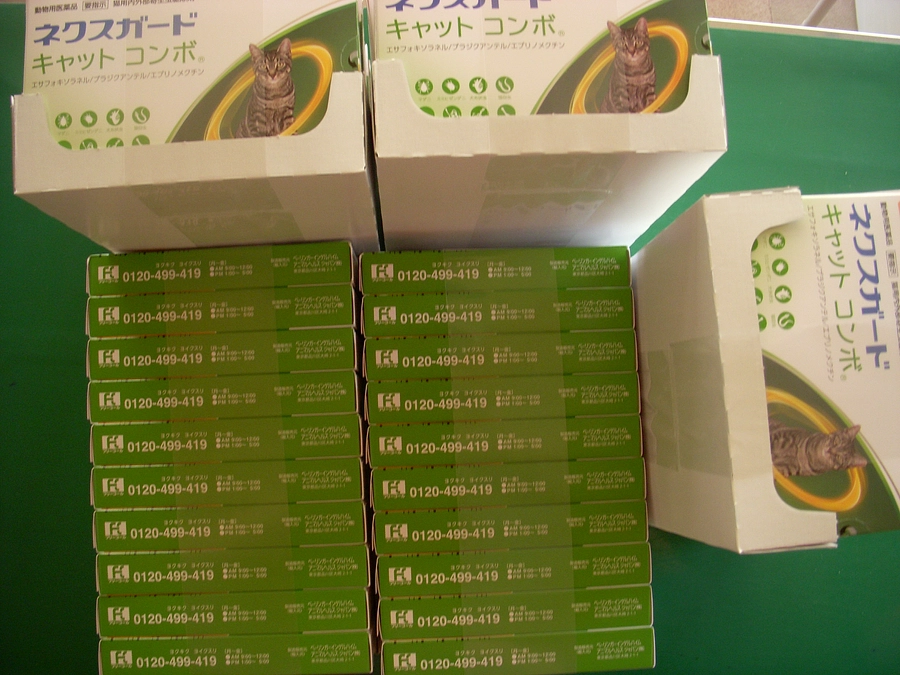 新着情報１４３本目の記事です