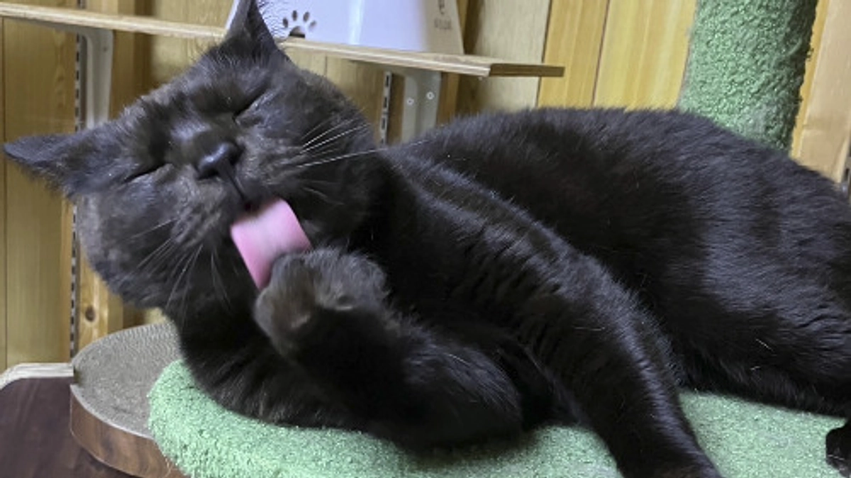 令和7年4月の中間報告！