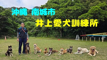 沖縄南城市 井上愛犬訓練所移転のためのご支援 のトップ画像