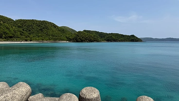 海洋ゴミ回収装置のSeabinを活用し、日本の海を綺麗にする！ のトップ画像