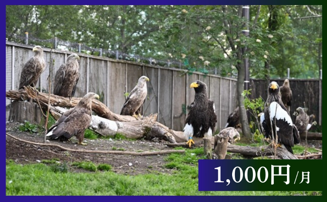 毎月1,000円｜応援コース