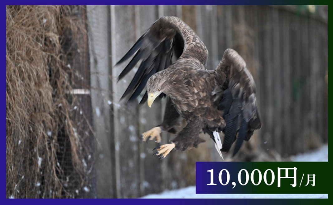 毎月10,000円｜応援コース