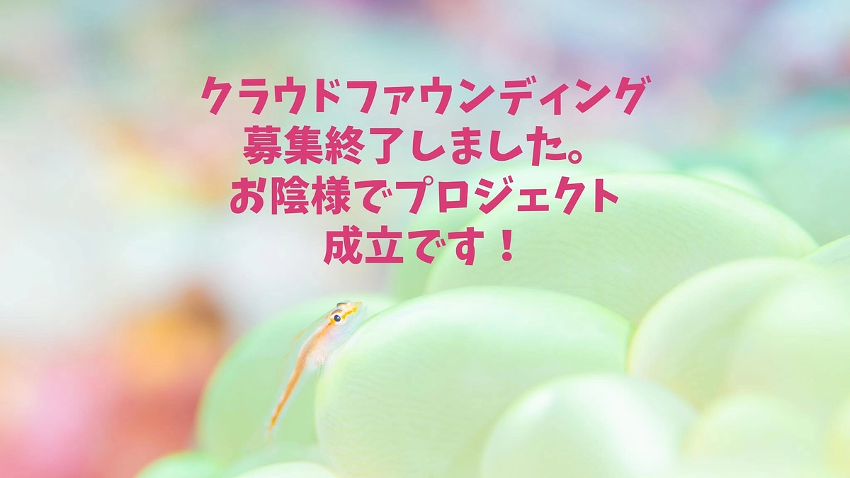 クラウドファウンディング成立です！