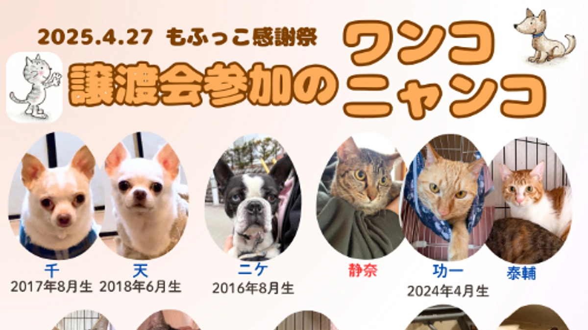 もふっこ感謝祭まであと1週間です