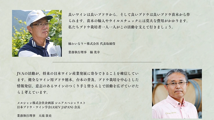 日本ワインの未来を救え！世界基準の「ワイン苗木」原木園を設立へ 4枚目