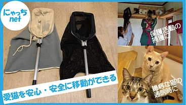 人も猫も安全に保護するために、「にゃっちnet」を販売したい。 のトップ画像