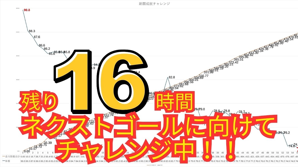【8月30日23時終了】🎯503kmラン＆16.6kg減量達成‼️最後のご支援お願いします🙏