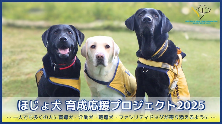 ほじょ犬育成応援プロジェクト2025｜一人でも多く寄り添えるように
