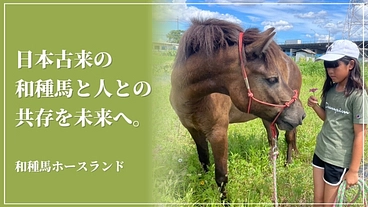 和種馬とより安全にふれあえる場所に。馬具新調や施設整備にご支援を！ のトップ画像