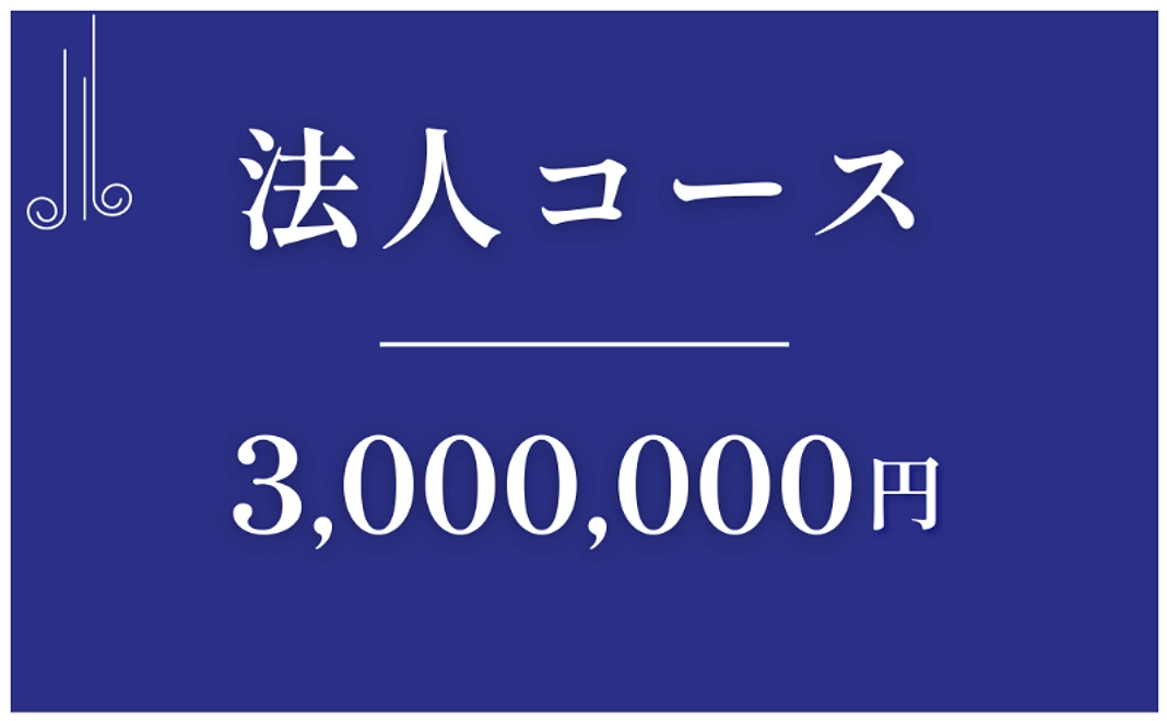 法人コース｜¥3,000,000