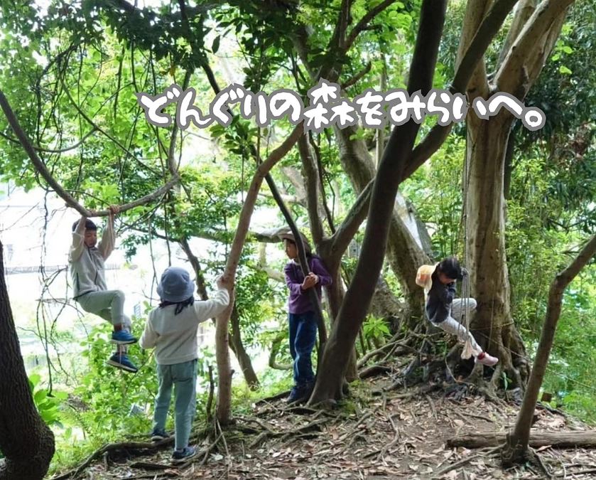 新学期に向けて、どんぐりの森を守る活動報告