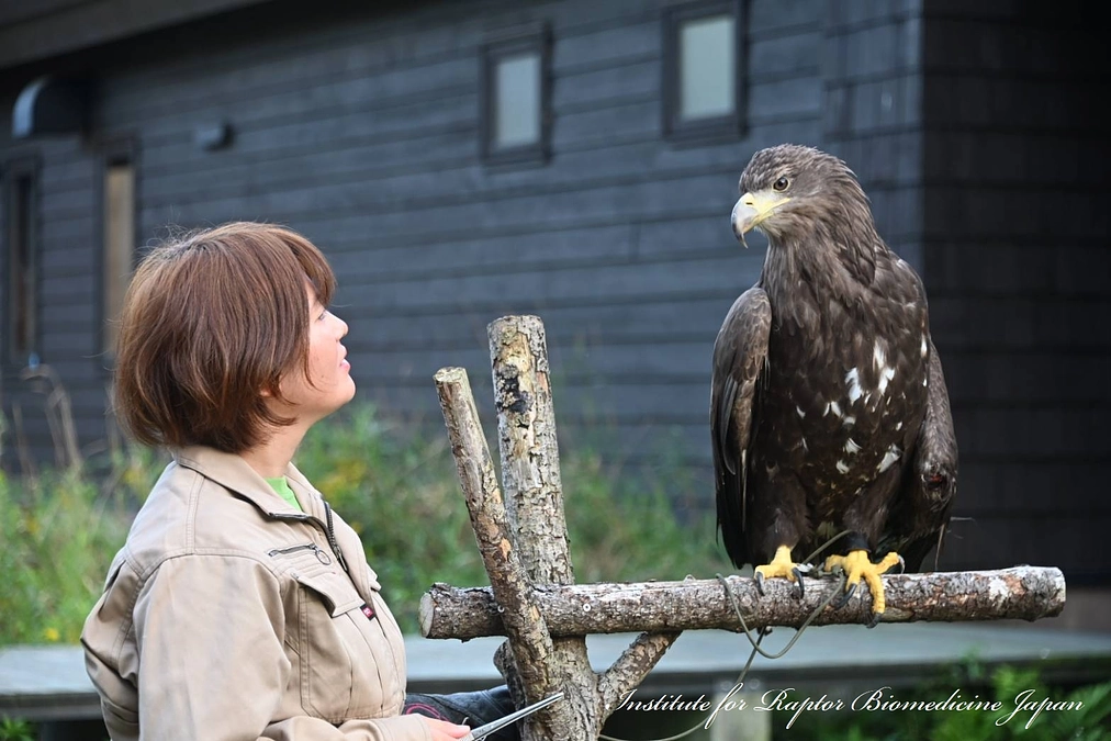 環境教育の最前線を目指し、今日もトレーニング中！