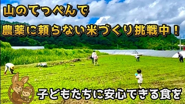 未来の子どもたちへ。山のてっぺんで挑む「農薬に頼らない米づくり」 のトップ画像