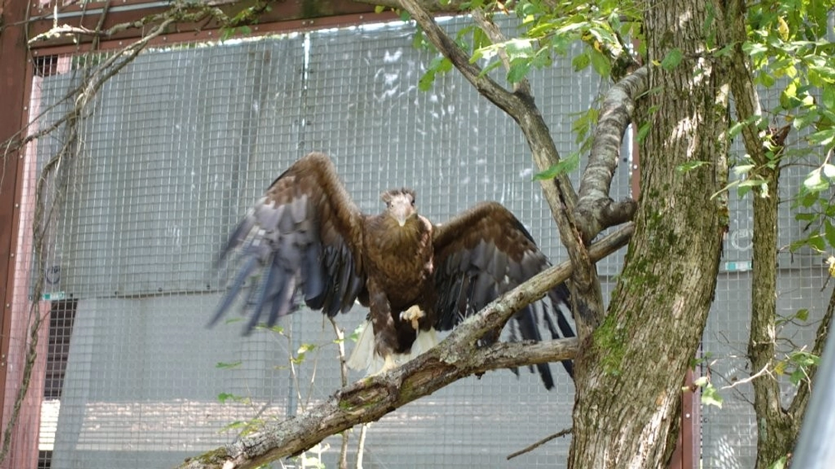 マンスリーサポーターさん限定！今日のベック写真集