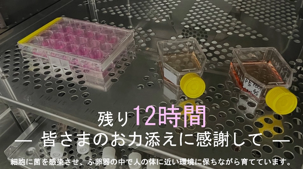 残り12時間 ― 皆さまのお力添えに感謝して