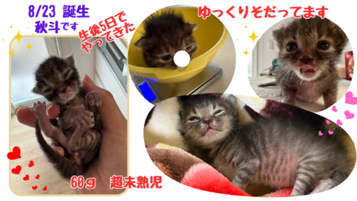 お盆以降　こんなことがありました！