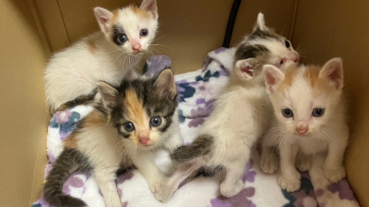 令和7年9月の中間報告！