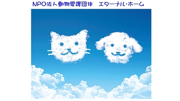 譲渡が困難な老犬・老猫の命をつなぐ！マンスリーサポーター募集中 のトップ画像