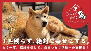 貰い手の少ない中・大型犬を救うために。活動継続と施設拡大にご支援を のトップ画像