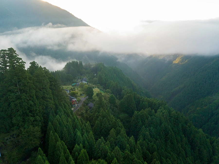 毎日新聞にてご紹介いただきました！