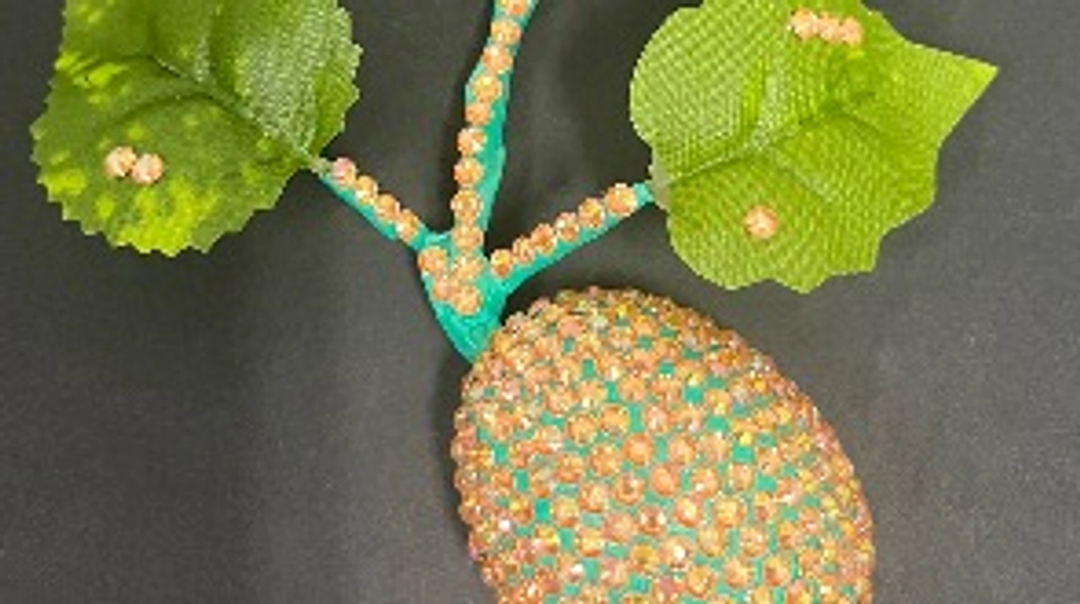 開始から2週間経過！