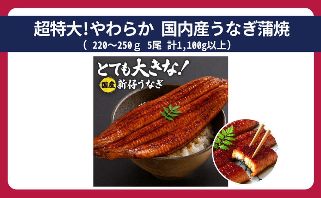 超特大!やわらか 国内産うなぎ蒲焼 220~250g 5尾 計1,100g以上