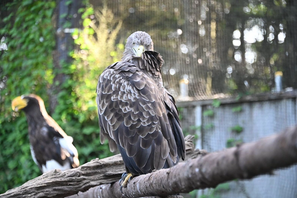 秋日和のひととき
