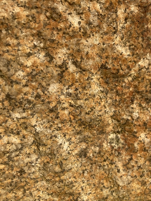 ニュースレター｜工事の進捗報告とこの秋開催＆ご一緒するイベント・プログラムのご案内