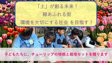 富山の園児に笑顔を届ける！チューリップの球根と栽培セットを贈りたい のトップ画像