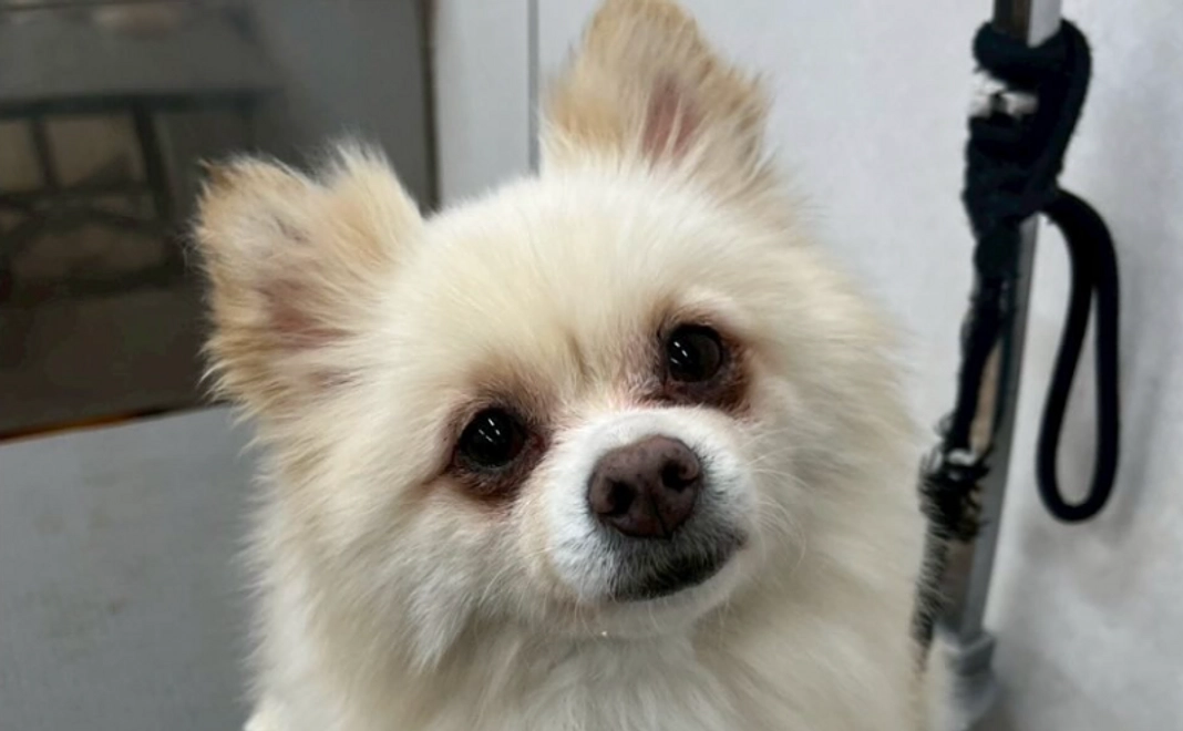 お気持ちコース｜3,000円