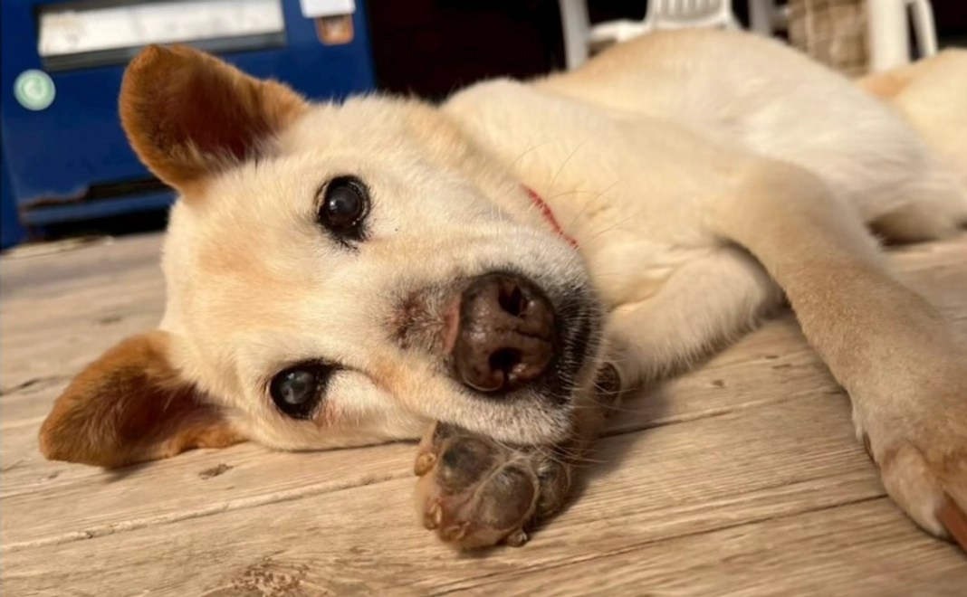 お気持ちコース｜5,000円