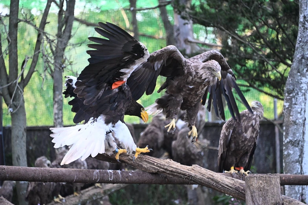 何が一番大切なの？