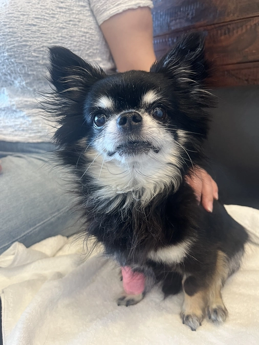 手術当日の術前面会