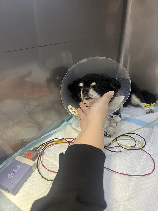 術後2日目の面会