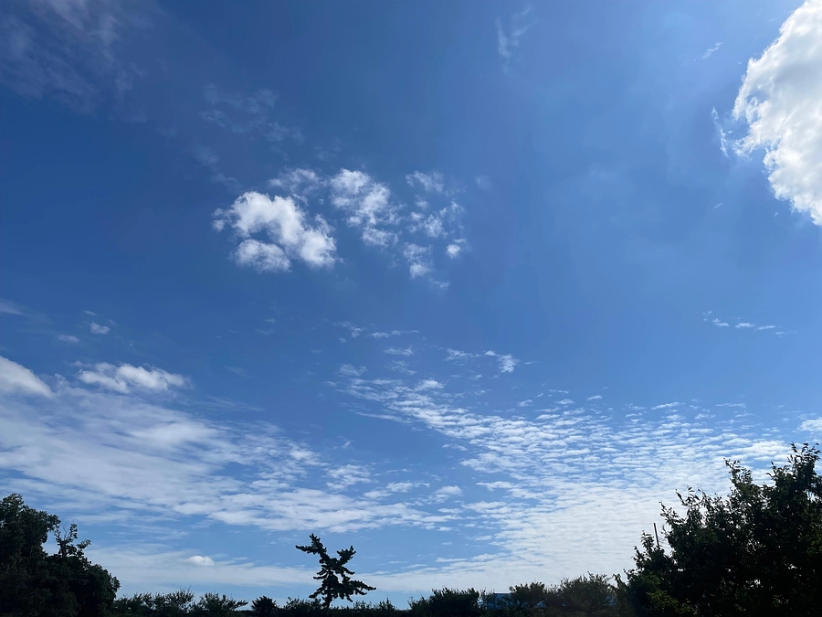 秋を深呼吸してみて！