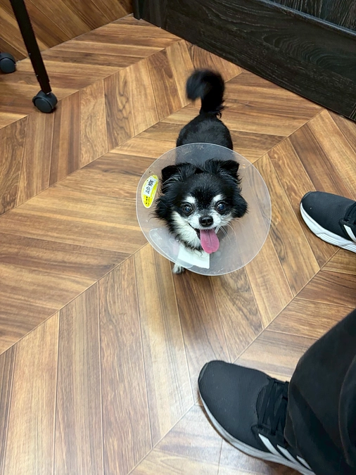 術後5日目の面会