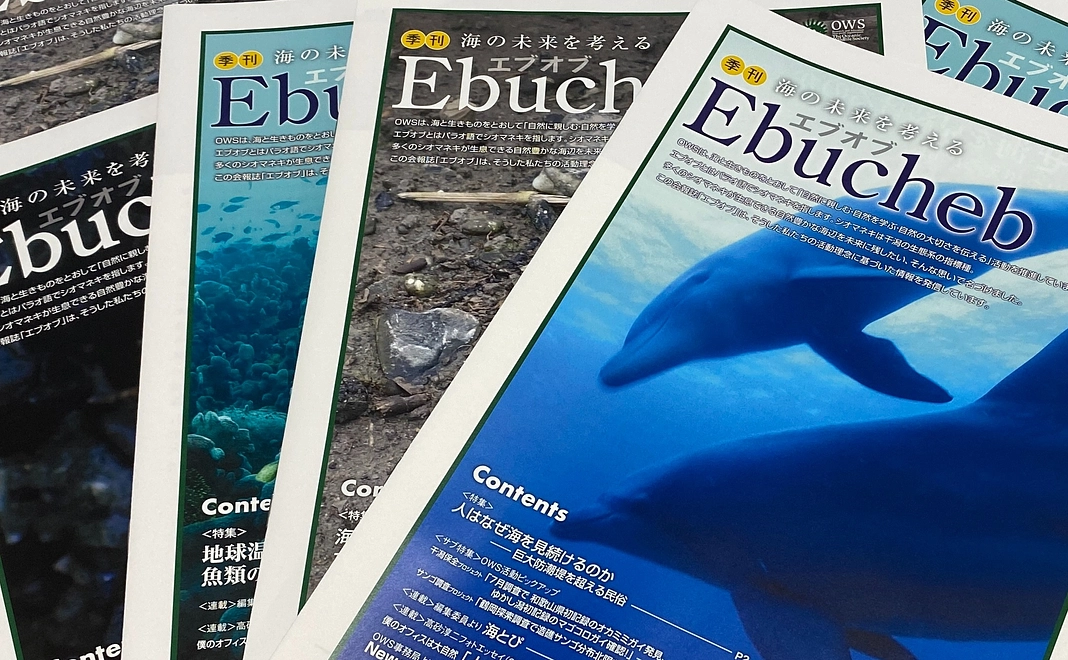 個人支援｜10,000円