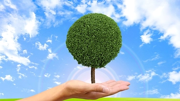 「ワケありを希望に」一人ひとりの働き方を応援するダイバーシティ事業 のトップ画像