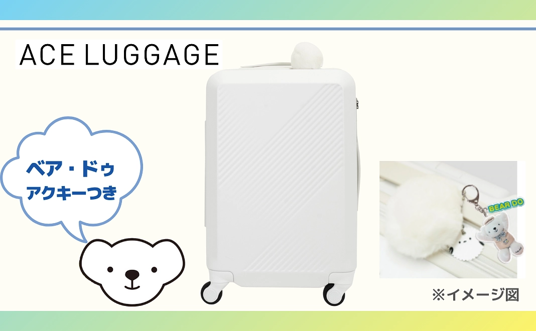 ★ベア・ドゥアクキーつき【未来のパイロットを応援】エースラゲージ Brush北海道カラーパレット(シマエナガ)