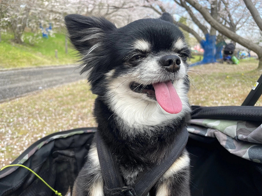 術後7日目、8日目